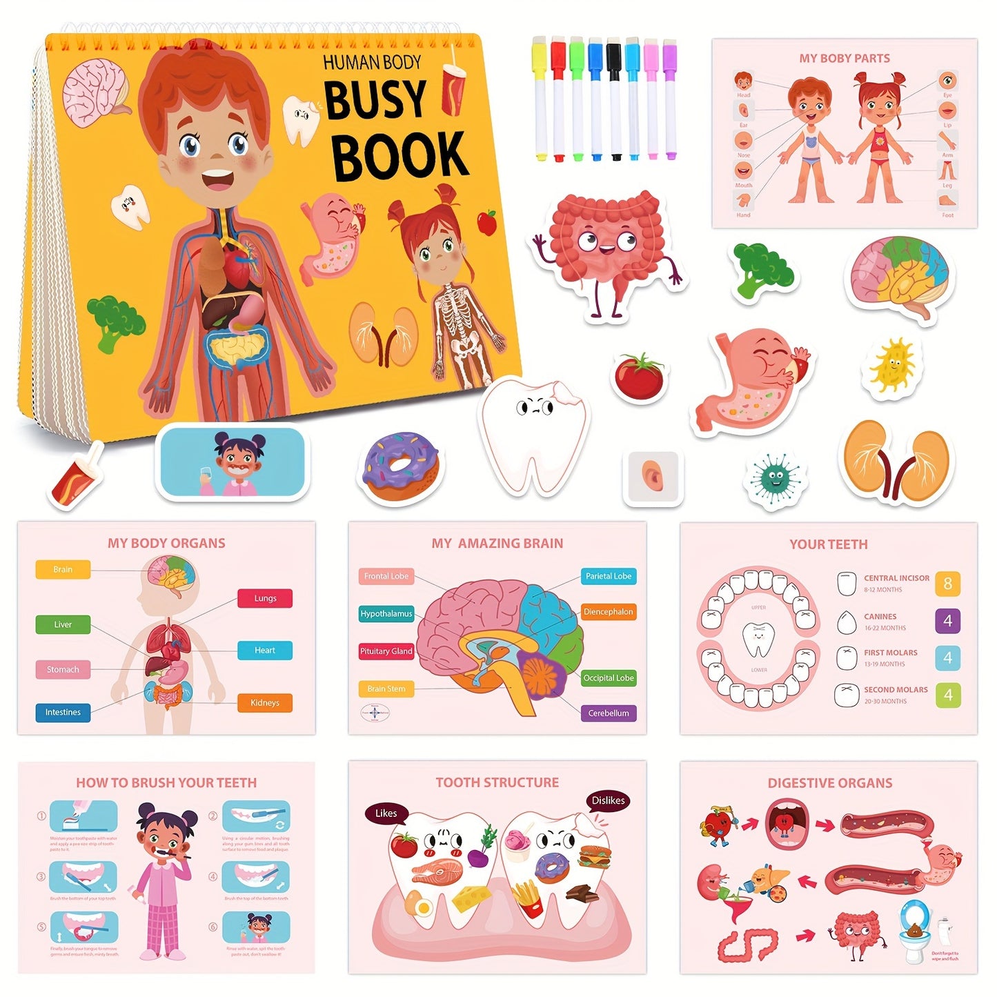 15 Themes Kids Busy Book Set, Educational Preschool Learning Quiet Book, Human Body Structure Cognitive Development, Includes Storage Bag, 8 Brush Markers, 1 Book, 15 Theme Packs & Stickers, Paper Material, No Battery Require