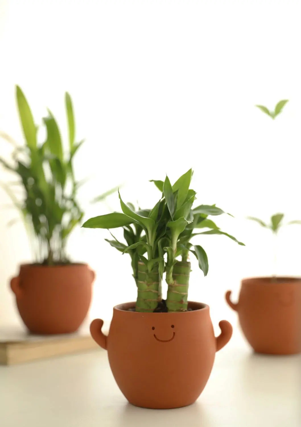 Full of Power Lovely Potted Vase Flower Pot Single Breathable Outlet Permeable Red Clay Flowerpot Changes Color When Water