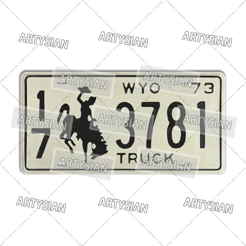 US Metal Plaque Retro Truck Number Plate Mississippi West Virginia Maine Illinois Idaho Iowa Pennsylvania Decorative Metal Sign