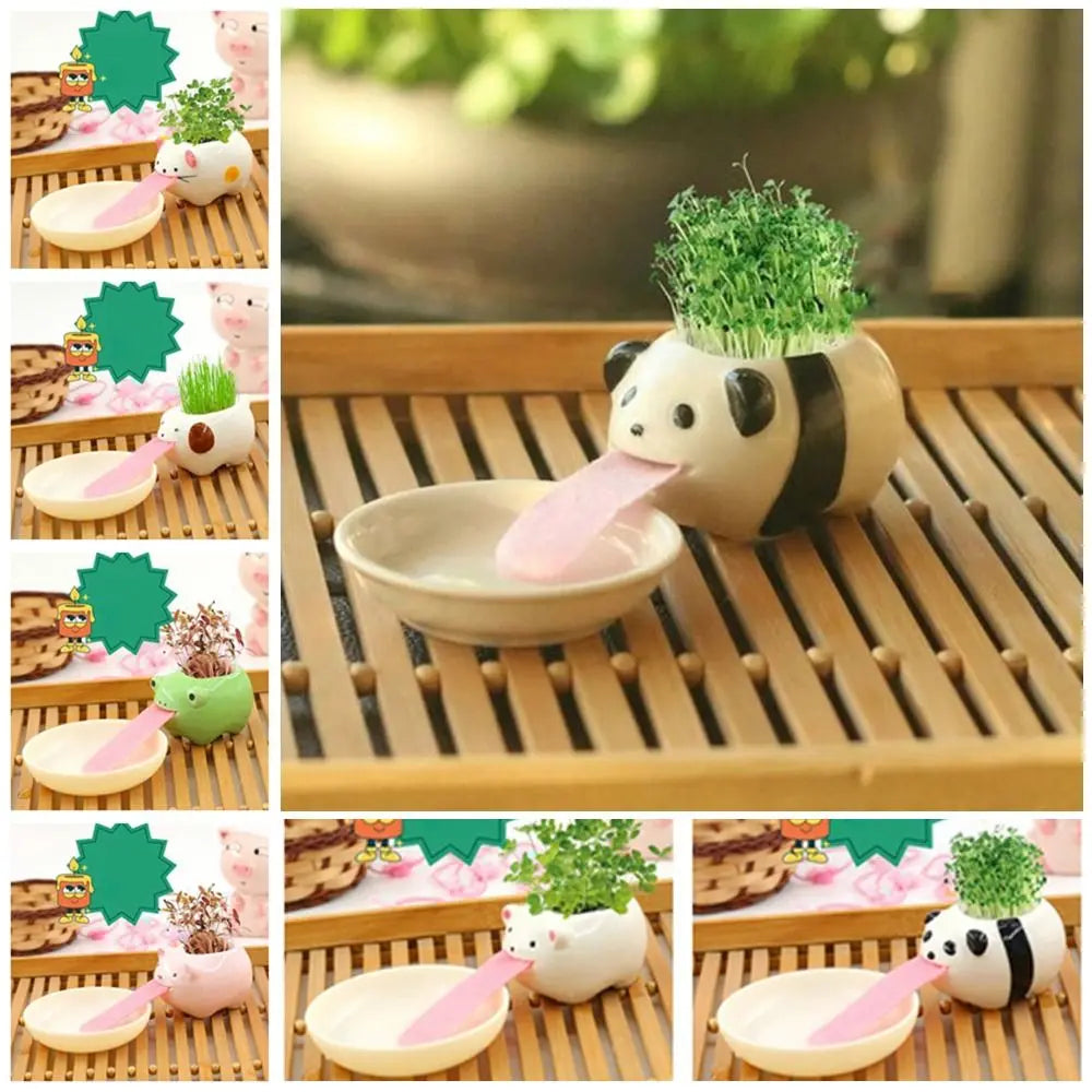 Cute Pig Frog Cat Bear Panda Ceramic Flower Pot Hydroponic Vase Mini Succulent Flowerpot Bonsai Cactus Ornament Home Garden Pots