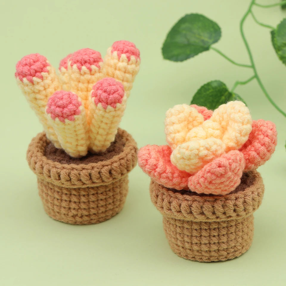 MIUSIE Beginner Crochet Kit Cactus Potted Plant Creative Crochet DIY Keychai Knitting Key Holder Crochet Dolls Material Pack