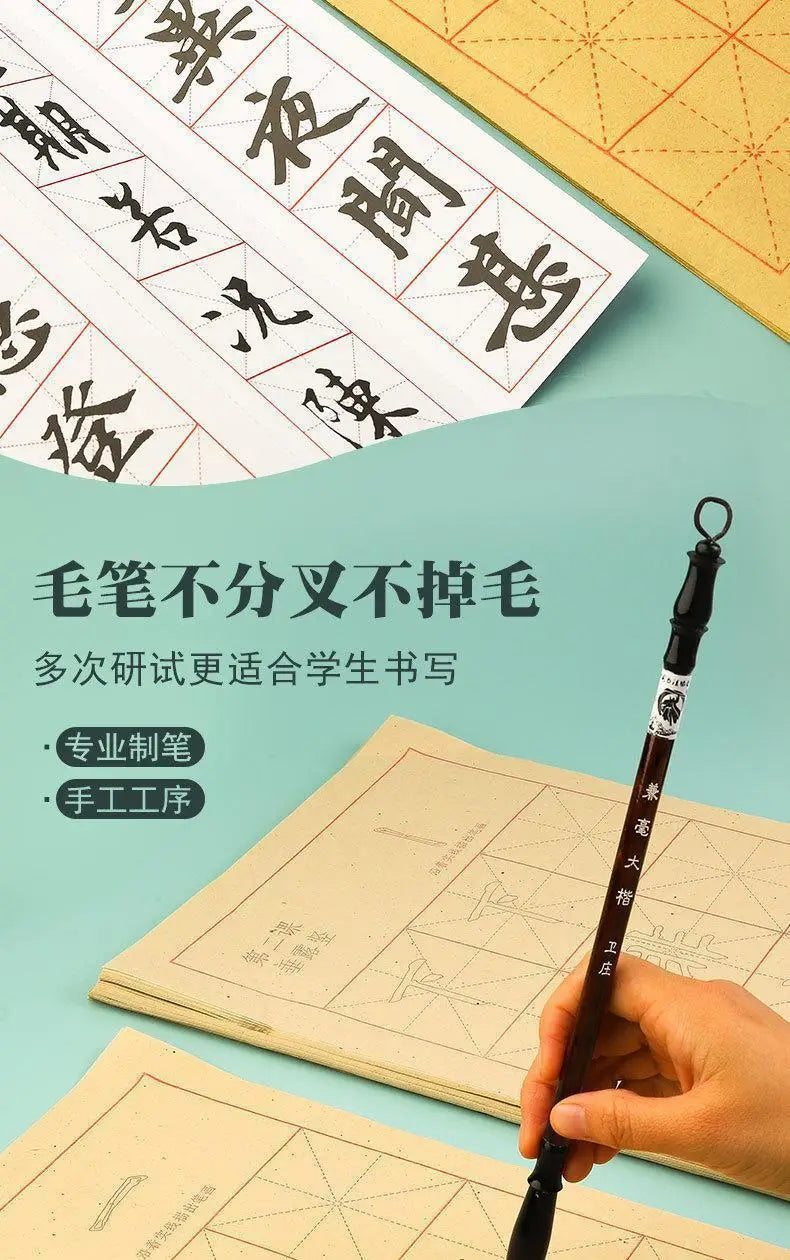 Beginners Practice Writing With the Four Treasures Set of Calligraphy in the Study Room