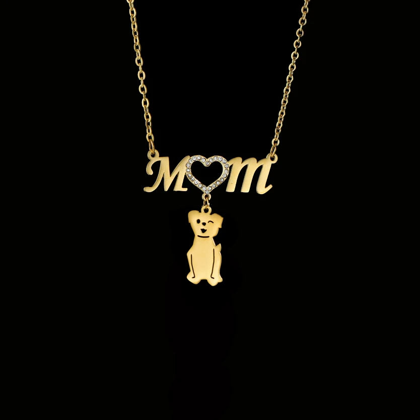 Sifisrri New Personalized Engrave Family Mom Zircon Heart Names Necklace for Women Stainless Steel Choker Chain Jewelry Gift Valentines Gift