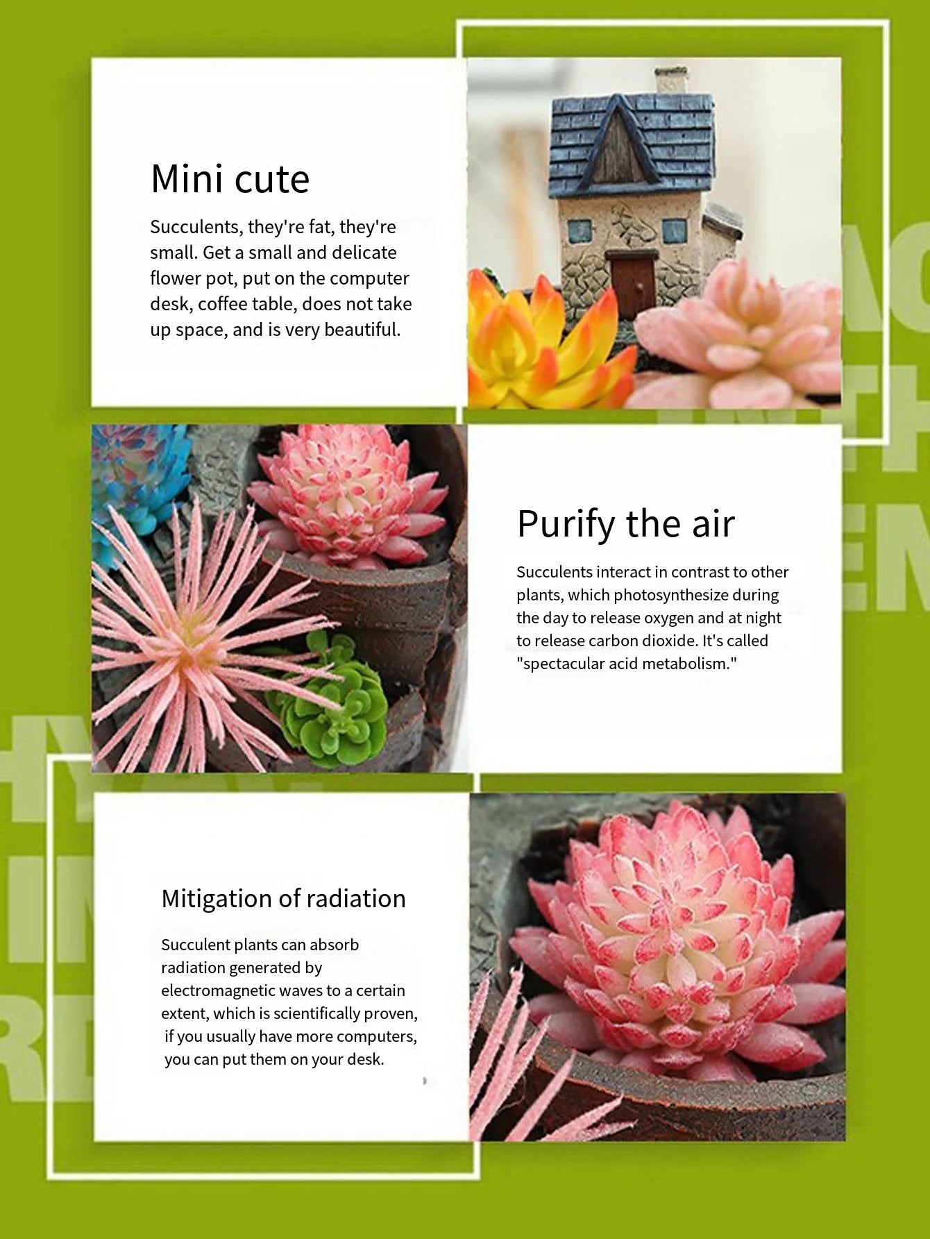 Nordic creative round succulent flower pot Lazy succulent pot succulent plant mini cartoon resin flower pot