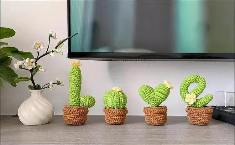 Handmade Cactus Love Potted Crochet Knitting Kits Wool Yarn Crochet Display Kit For DIY Beginner Women Home Gift Wholesales