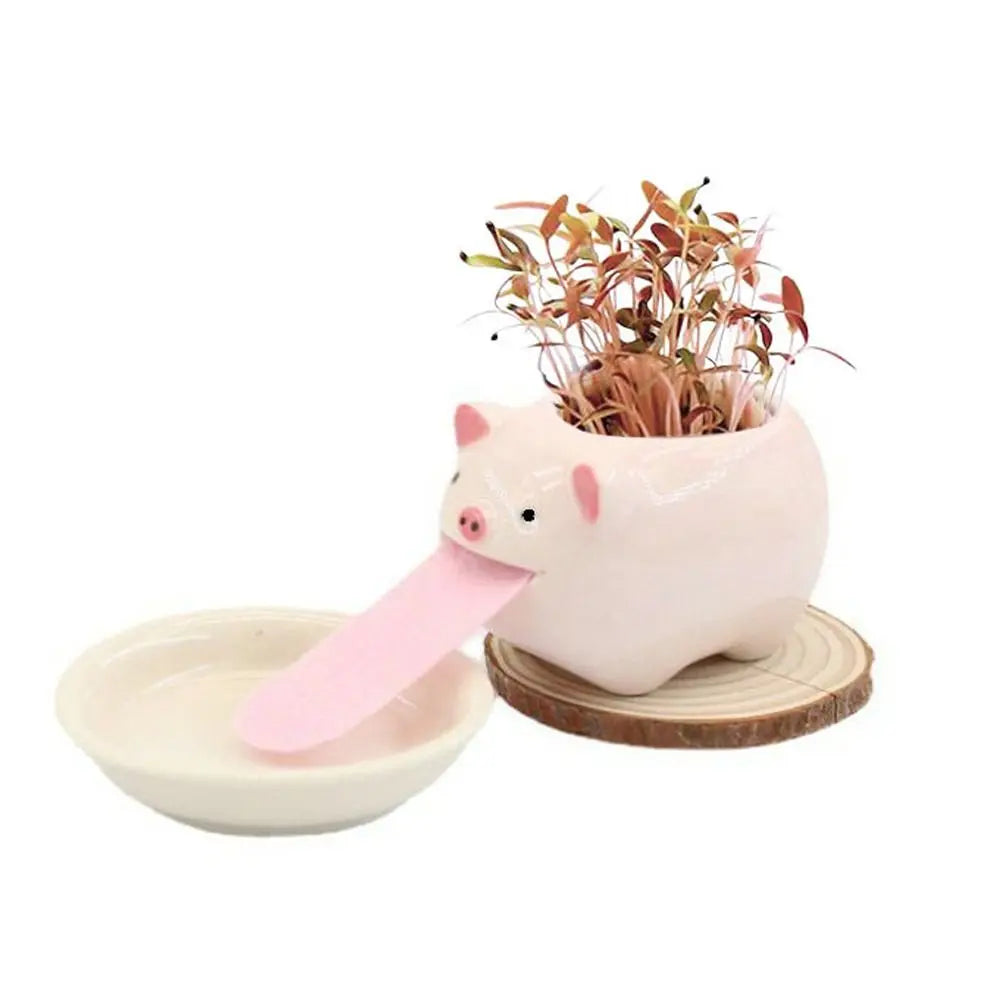 Cute Pig Frog Cat Bear Panda Ceramic Flower Pot Hydroponic Vase Mini Succulent Flowerpot Bonsai Cactus Ornament Home Garden Pots