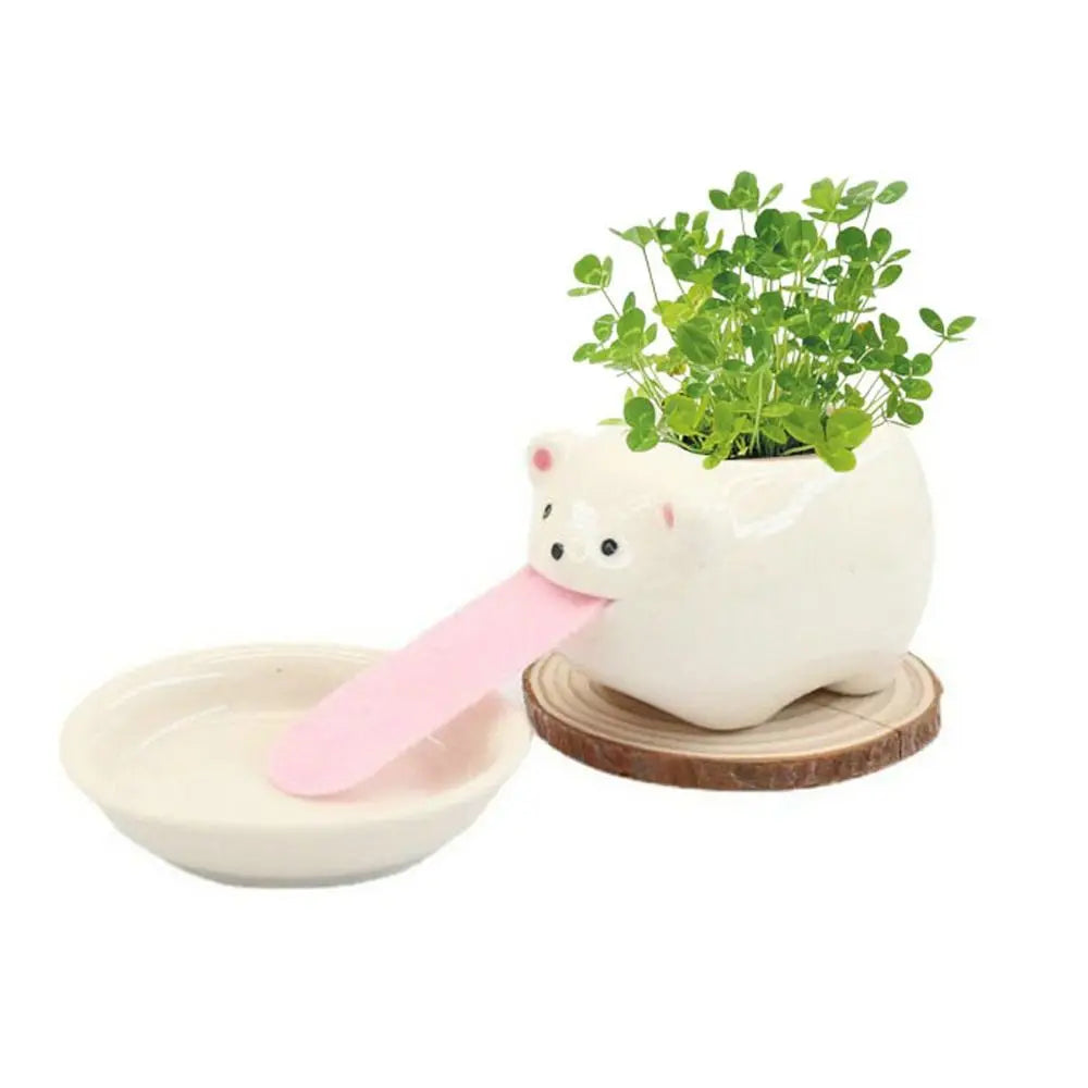 Cute Pig Frog Cat Bear Panda Ceramic Flower Pot Hydroponic Vase Mini Succulent Flowerpot Bonsai Cactus Ornament Home Garden Pots