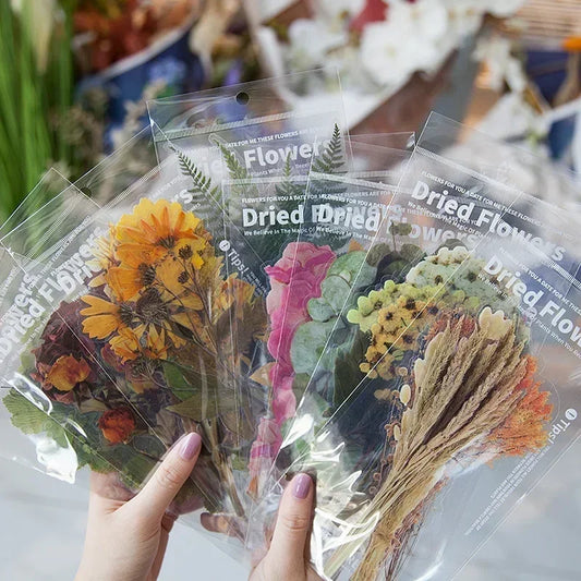 6pcs/lot Vintage Dried Flower PET Sticker Decorative Diary Craft Scrapbook Planner Journal  Aesthetic Stationery