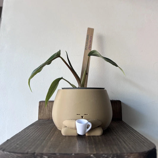 Cozy Pot Holding Drink Planter Pot Gardening Pot Small Plant Holder Air Plant Holder Plant Pots Flower Pots for Indoor Plants