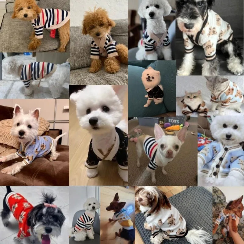 Luxury Dog Clothes for Small Dogs Winter Warm Dog Sweater Chihuahua French Bulldog Clothing Pet Items Knitted Cardigan Sweater