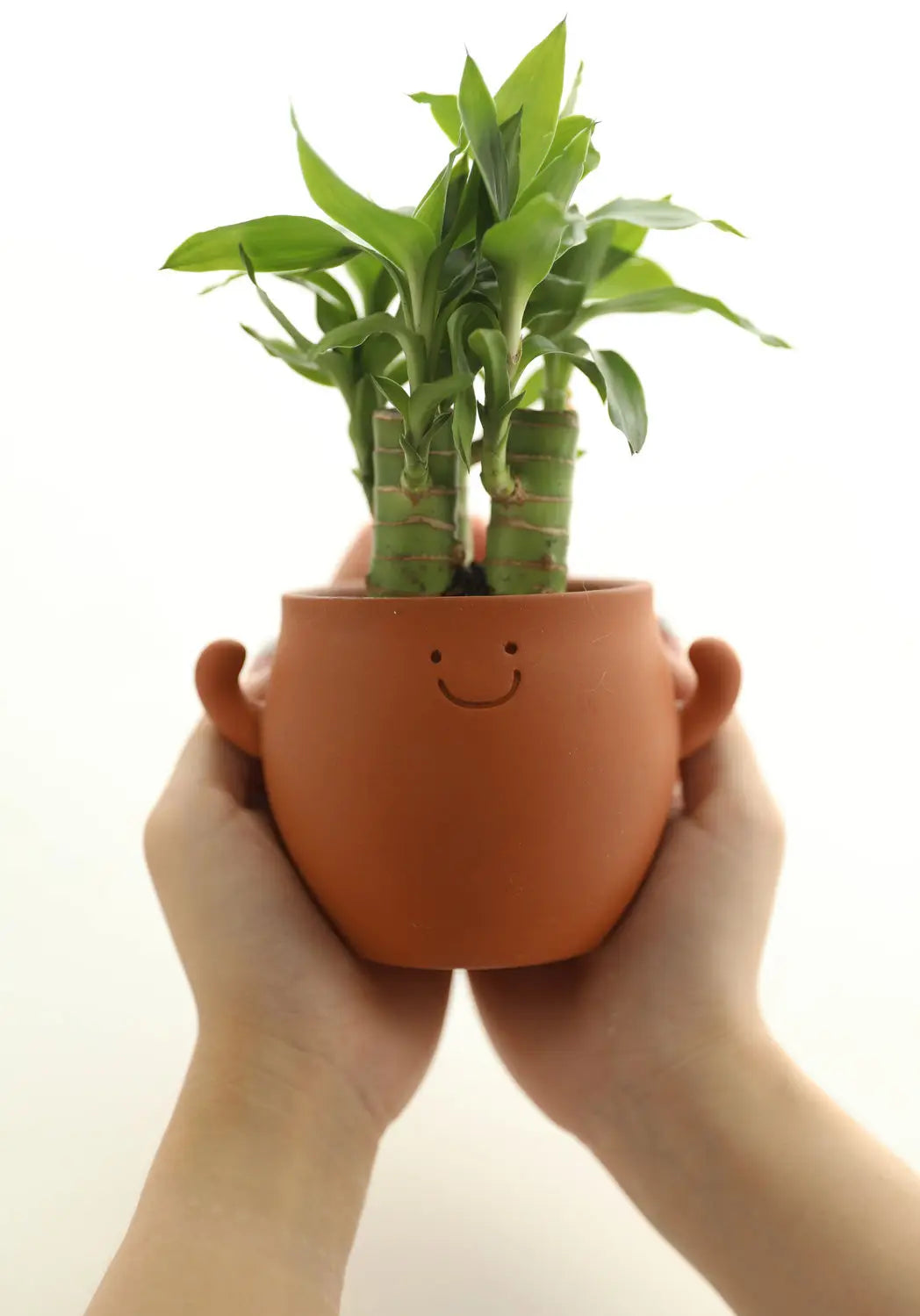 Full of Power Lovely Potted Vase Flower Pot Single Breathable Outlet Permeable Red Clay Flowerpot Changes Color When Water