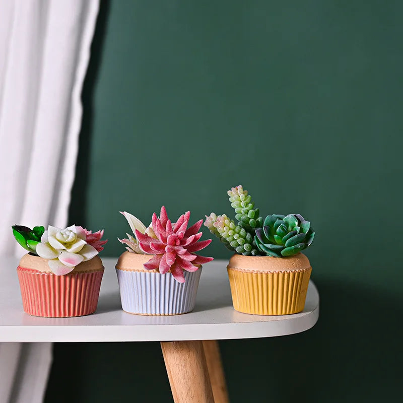 Round Cake Ceramic Flowerpot Lovely Juicy Plant Flowerpot Simple Potted Combination Gardening Office Desktop Decoration